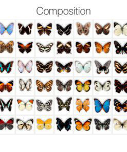 Butterfly Tiles Stickers - Composition