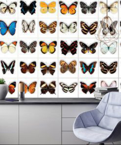 Butterfly Tiles Stickers - Wall