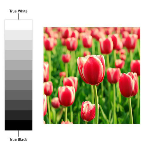 Stickers for Tiles Color Nature - Color Spectrum