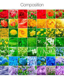 Stickers for Tiles Color Nature - Composition