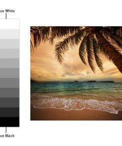 Tiles Stickers Beach Paradise - Color Spectrum