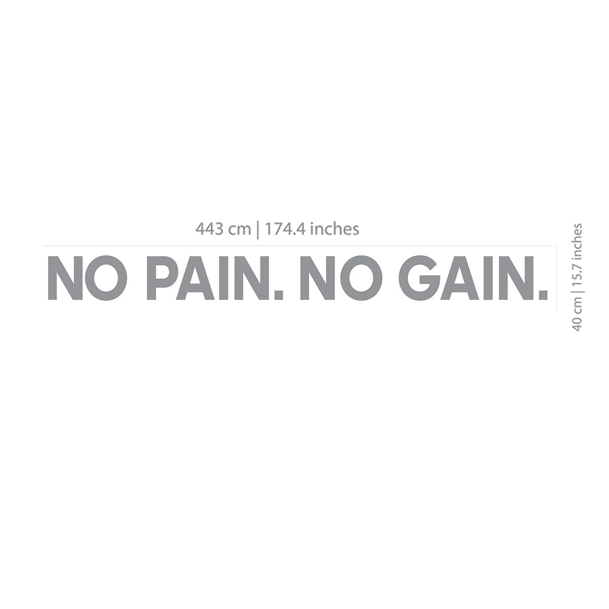 No Pain No Gain 3D Gym Wall Decor 